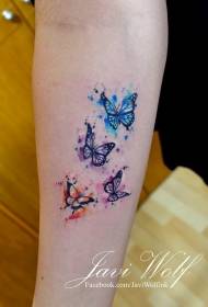 slatka lijepa obojena leptir leptir uzorak tetovaža