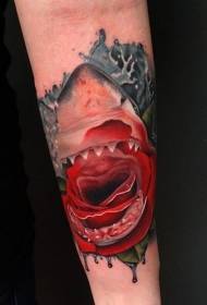 Kar színes rózsa és a cápa tetoválás minta