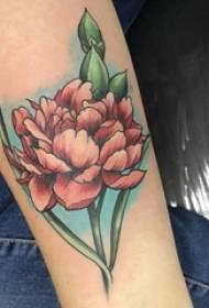 Carnation Tattoo Muster Meedchen Aarm Faarf Carnation Tattoo Bild