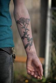Modello di tatuaggio di colore del fiore selvaggio braccio