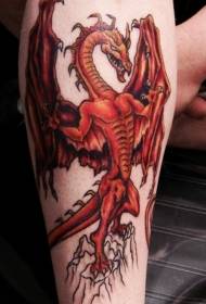 Shank model i frikshëm i tatuazheve të kuqe të dragoit