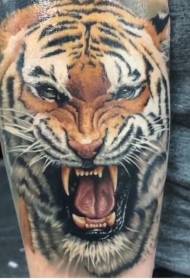 Наоружани реалистични узорак тетовирања тигра у боји