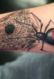 Arm realistisk färg stor spindel med tatuering mönster
