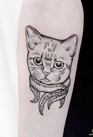 الگوی تاتو گربه نیش اروپایی و آمریکایی بازوی کوچک