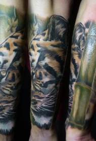 Традиционални реалистични узорак за тигрове и бамбусове тетоваже у малој руци