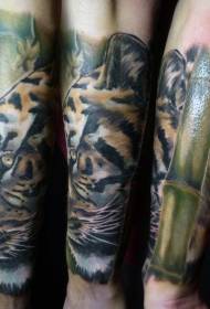 Malgranda brako tradicia realisma kolora tigro kaj bambua tatuaje ŝablono