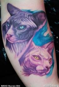 Rokas krāsas reālistisks kaķu galvas tetovējums
