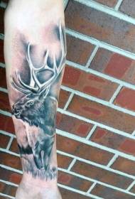roko realističen vzorec tetovaže divjega losova v slogu črne sive barve