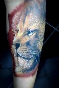 Nádherný realismus styl barevné tetování lví hlavy vzor