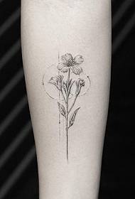 modello di tatuaggio piccolo braccio ragazza piccolo fiore fresco