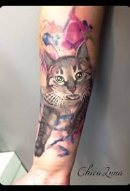 braccio tatuaggio simpatico gatto color tatuaggio