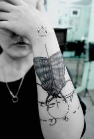 krak realističan crno sivi veliki moljac tetovaža uzorak