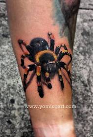 A Super Realistic Articula Spider Tattoo Pattern