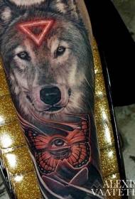 braccio color lupo misterioso con triangolo rosso e motivo tatuaggio occhio di farfalla