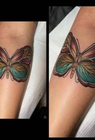 pergel yeni stil renkli fantezi kelebek dövme deseni