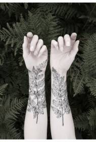 modèle de tatouage plante feuille de fougère noire