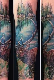 naoružajte jelene prirodne boje u divljini s tetovažom