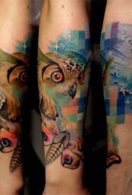 gufo di stile di illustrazione di colore con motivo a tatuaggio farfalla