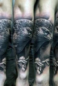 Armless incredibile volu di tatuatura di aquila negra