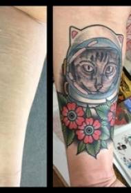 pojkar på den målade akvarell skissar litterära ärr täcker katt tatueringsbilder