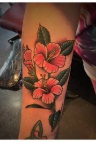Aʻoga Faʻapitoa o loʻo i luga o le lanu pinisi pink hibiscus tattoo pattern