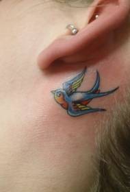 ucho späť modré Farebné tetovanie prehltnúť