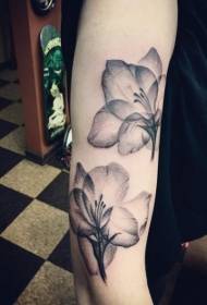 braccio bellissimo modello di tatuaggio fiore trasparente nero