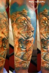 jib Reālistisks krāsu stila lauvas ģimenes tetovējuma modelis