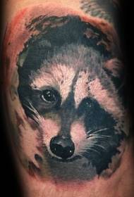 ຮູບແບບການແຕ້ມຮູບແບບ tattoo ງາມ raccoon ສີ