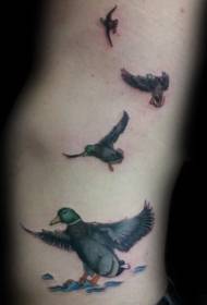 Farbe Taille Tier fliegende Ente Tattoo-Muster