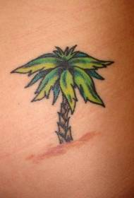 Culoare umar model mic tatuaj palmier frumos