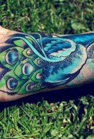 instep ຮູບແບບ tattoo peacock ສີຟ້າຂອງໂຮງຮຽນ