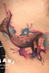 motivo tatuaggio balena acquerello colore lato vita