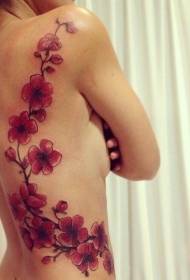 costelas laterais das nenas Patrón de tatuaje de rama de flor de cereixa bonito