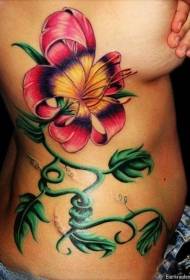 side ribbe fargerike eksotiske blomster tatoveringsmønster