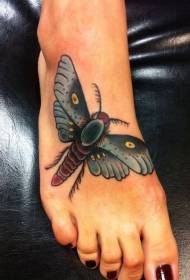 female instep color beautiful moth tattoo pattern