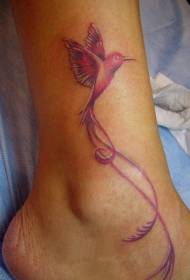 Dath Crúibe Patrún Tattoo Éan Álainn