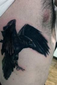 Side zo kòt nan modèl nwa vole Crow tatouaj