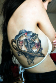 modello classico del tatuaggio dell'uccello di modo della costola laterale della ragazza