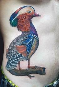 बाजूला ribs जबरदस्त रंगीत मजेदार पक्षी टॅटू नमुना