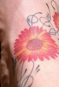 bella occhiata al modello di tatuaggio colorato crisantemo