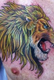 vīriešu krūtīs rēcošās lauvas galvas tetovējuma modelis