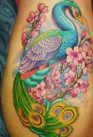bočné rebrá nádherné ilustrácie štýl farebný paví perie kvetina tetovanie vzor