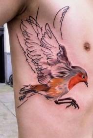 pájaro costal lateral con patrón de tatuaje de alas transparentes