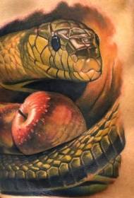 Realisma stilo kolora talio serpenta tatuaje ŝablono