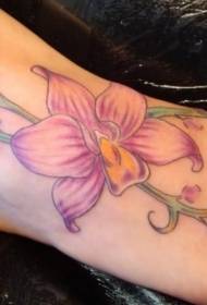 instmụ nwanyị instep agba orchid tattoo tattoo