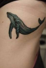 腰側黑鯨紋身圖片