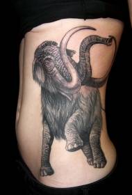 motivo tatuaggio elefante inchiostro nero lato vita