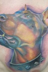 simpatico tatuaggio Doberman e colletto color petto