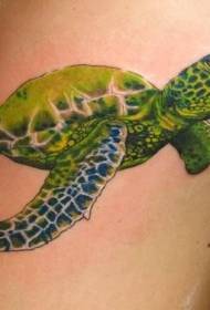 model ngjyrosje realist tatuazh breshkë jeshile model
